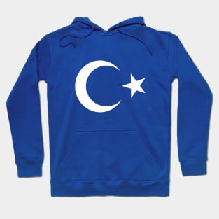 moon & star Hoodie